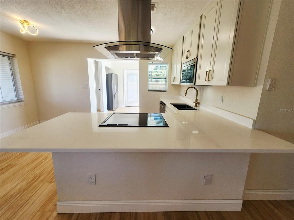 2494 Del Rio Way Dunedin, FL 34698 - Photo 11 of 26
