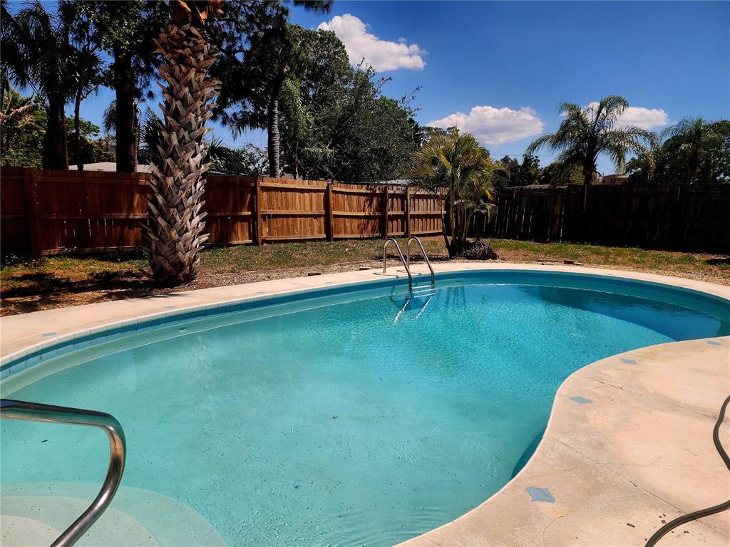 2494 Del Rio Way Dunedin, FL 34698 - Photo 6 of 26
