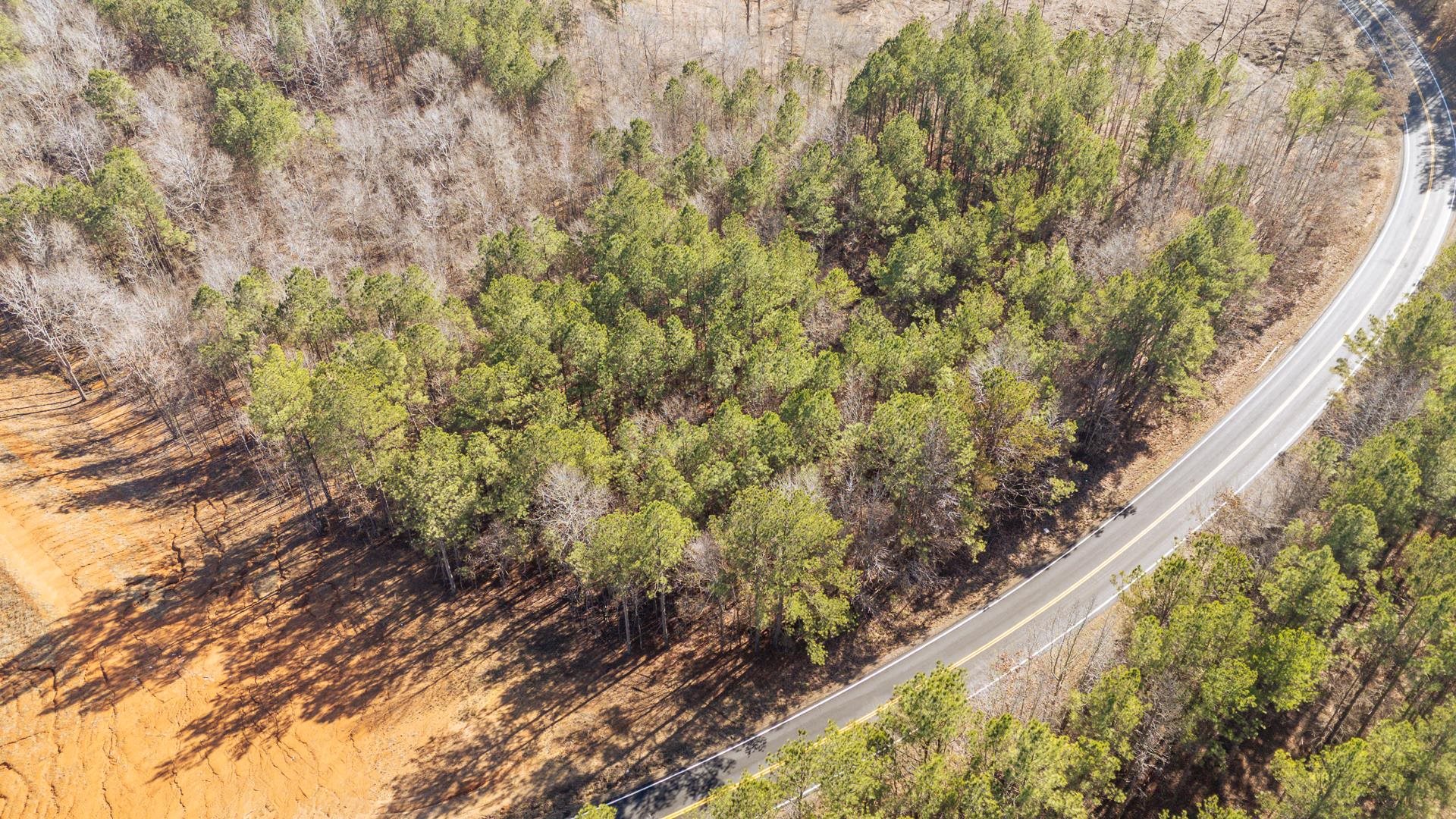 0 Kendrick & Hamburg Road Michie, TN 38357 - Photo 22 of 38 a view of a yard with plants and wooden fence