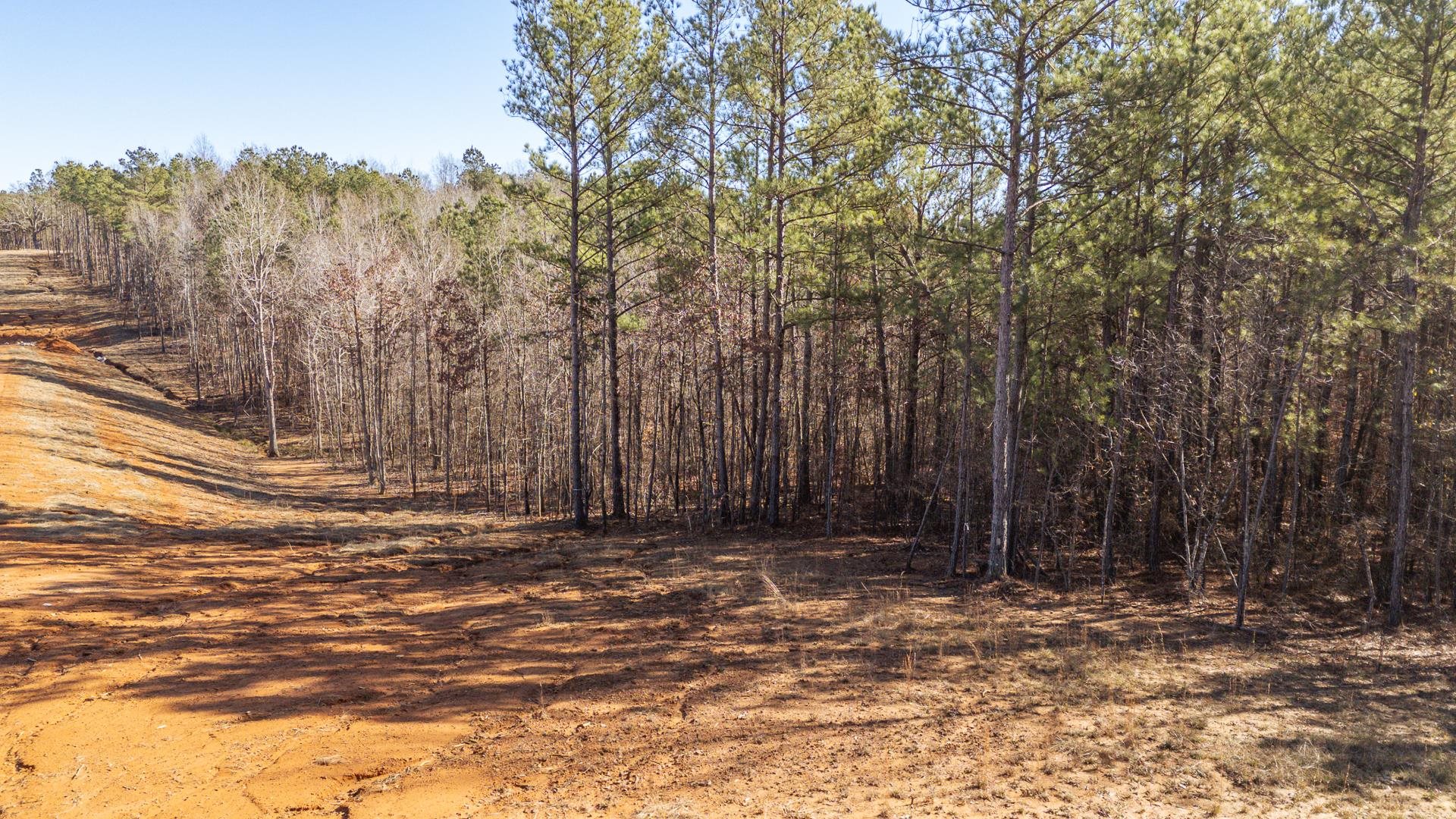 0 Kendrick & Hamburg Road Michie, TN 38357 - Photo 33 of 38 a view of a yard with trees in the background