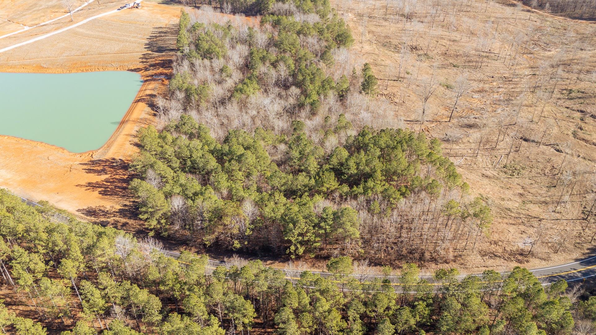 0 Kendrick & Hamburg Road Michie, TN 38357 - Photo 7 of 38 a view of a yard
