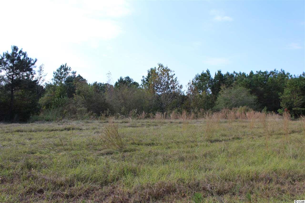 1422 Daisy Road Loris, SC 29569 - Photo 14 of 19 Gallery Image 14