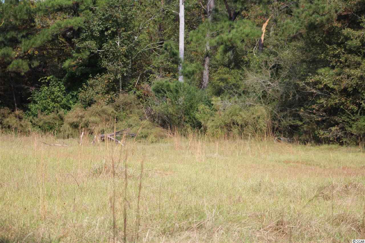1422 Daisy Road Loris, SC 29569 - Photo 3 of 19 Gallery Image 3