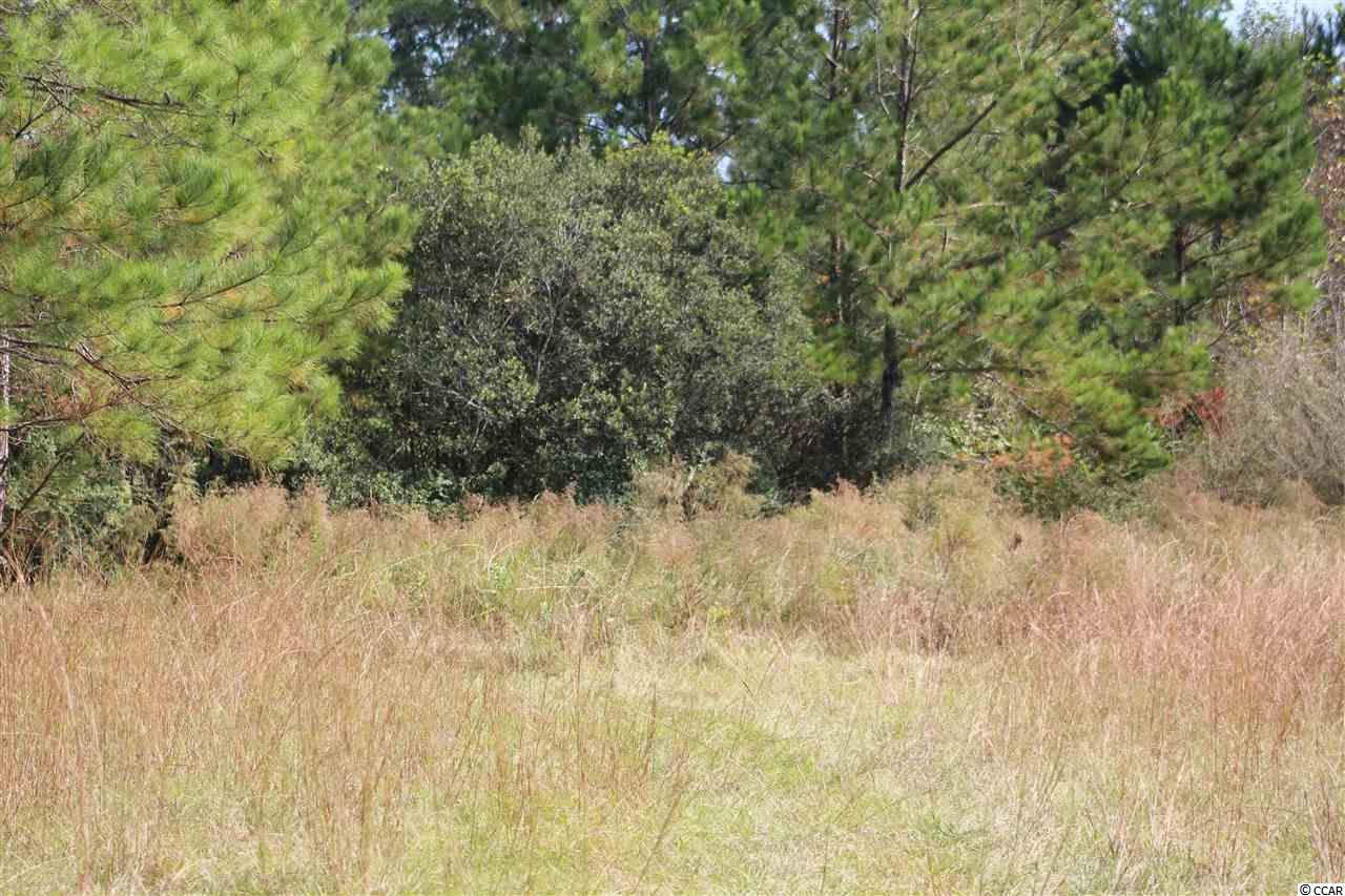 1422 Daisy Road Loris, SC 29569 - Photo 4 of 19 Gallery Image 4