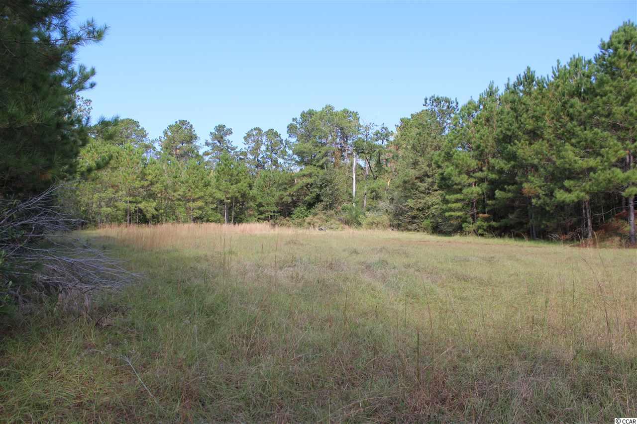 1422 Daisy Road Loris, SC 29569 - Photo 5 of 19 Gallery Image 5