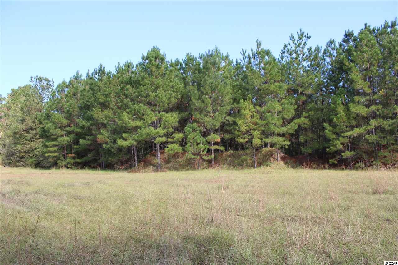 1422 Daisy Road Loris, SC 29569 - Photo 8 of 19 Gallery Image 8