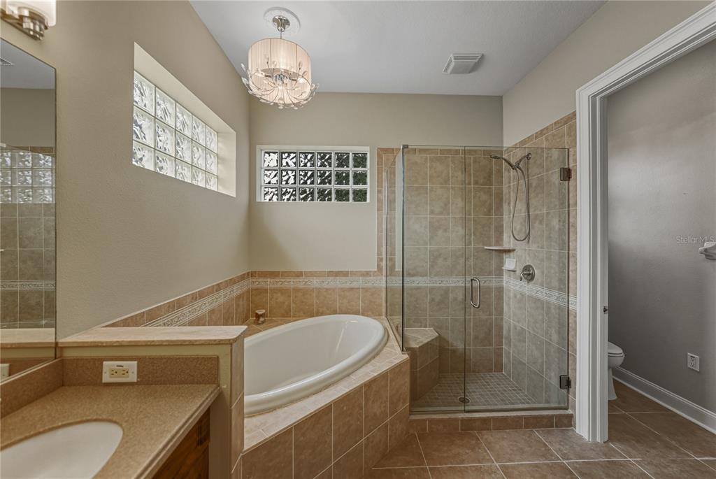 8725 Mississippi Run Spring Hill, FL 34613 - Photo 34 of 72 a bathroom with a granite countertop sink a toilet and shower