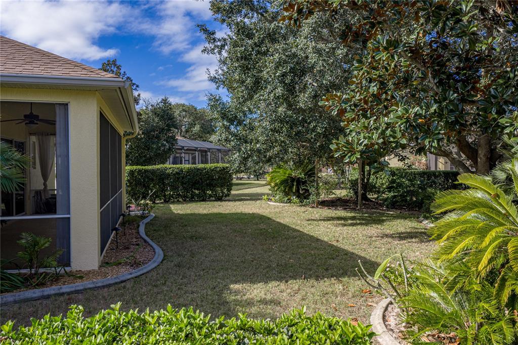 8725 Mississippi Run Spring Hill, FL 34613 - Photo 58 of 72 a view of a backyard