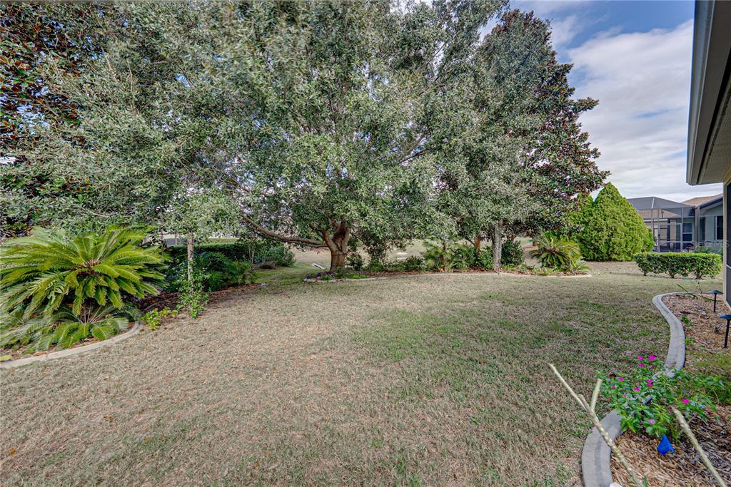 8725 Mississippi Run Spring Hill, FL 34613 - Photo 59 of 72 a view of a yard with plants and trees