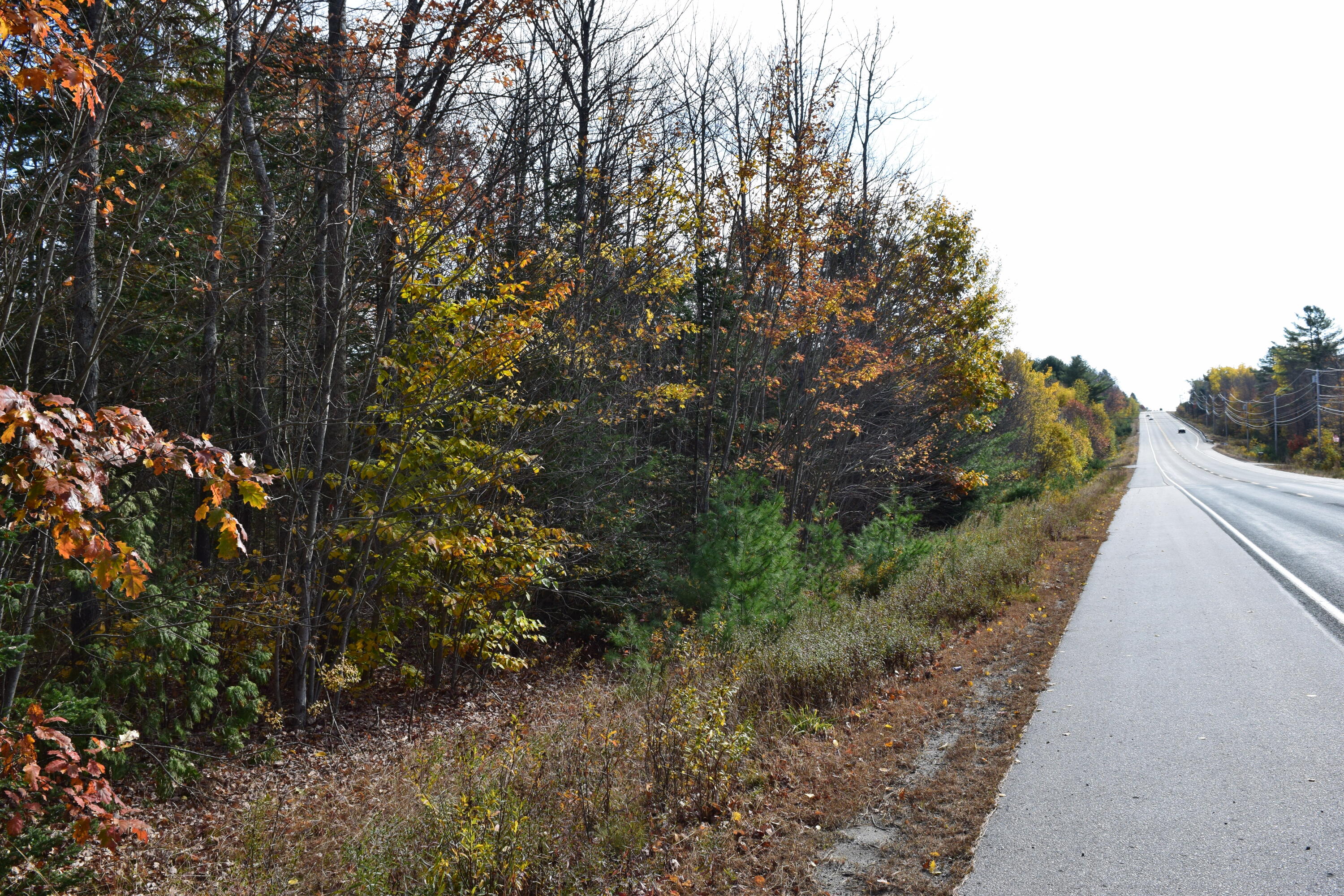 0 Labelle Road Ellsworth, ME 04605 - Photo 2 of 20 DSC_0287