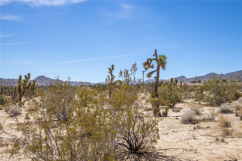 6563 Saddleback Road Joshua Tree, CA 92252 - Photo 16 of 17