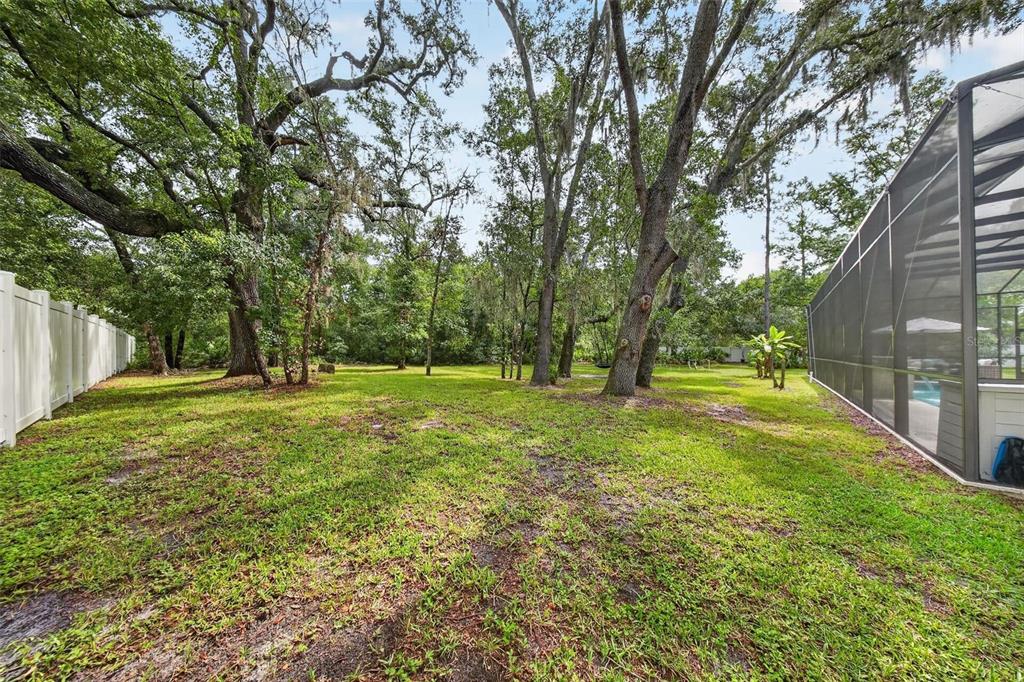 2304 Clement Road Lutz, FL 33549 - Photo 69 of 85