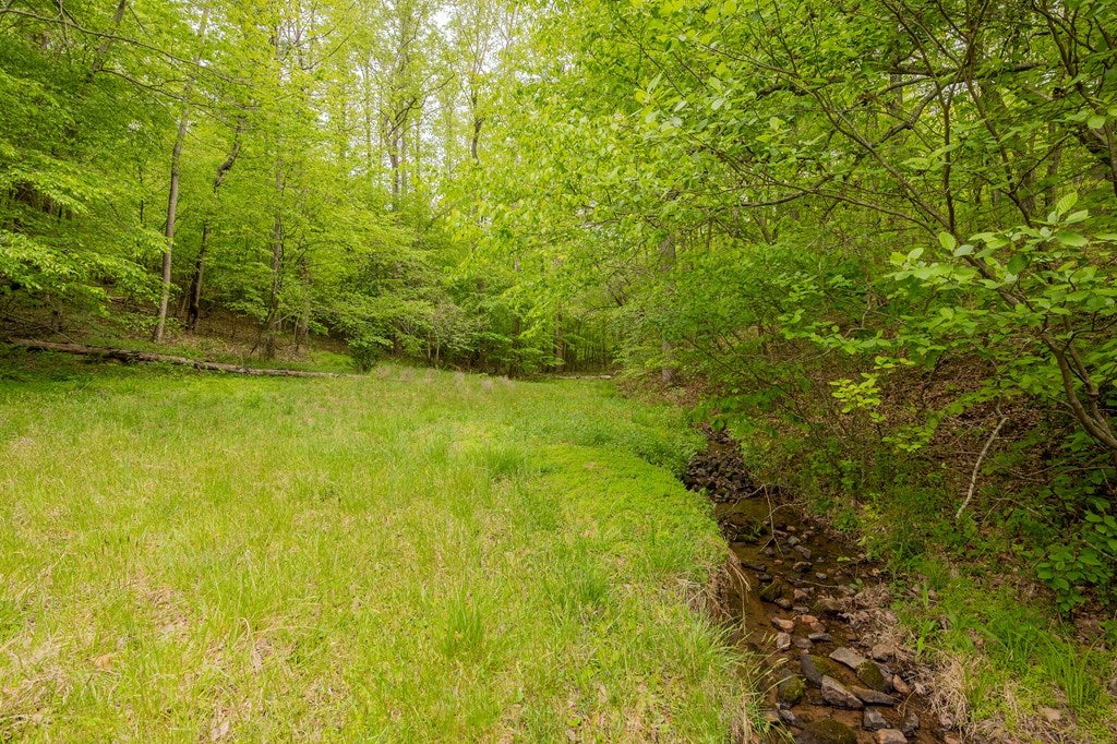 180 Gilbert Valley Road, Unit 67 Stuart, VA 24171 - Photo 35 of 53 Gallery Image 35