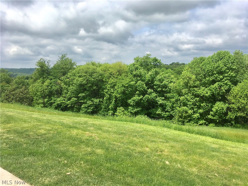 90650 Kilgore Ridge Road Scio, OH 43988 - Photo 5 of 26 Gallery Image 5