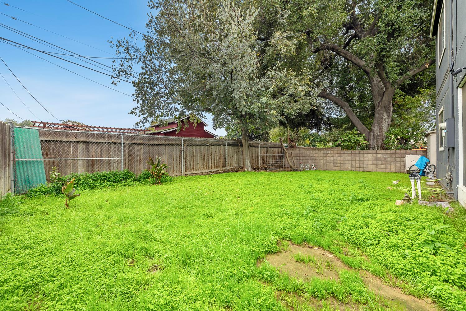1592 North Ferger Avenue Fresno, CA 93728 - Photo 6 of 30 a view of a backyard with a garden