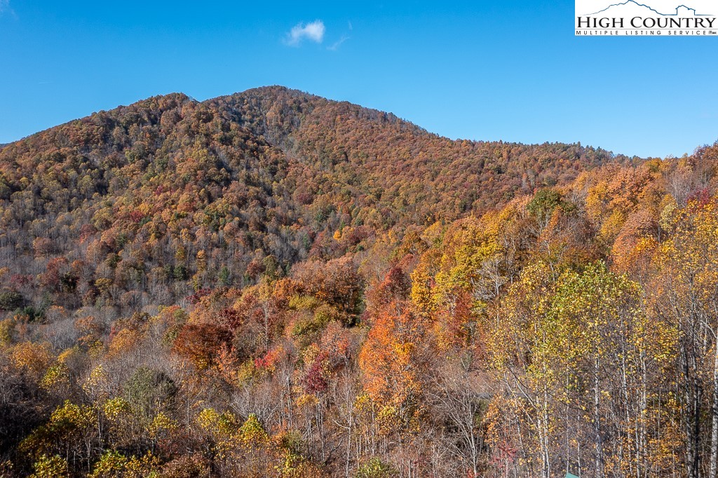 398 Phoenix Ridge Road Jefferson, NC 28640 - Photo 4 of 46 Gallery Image 4
