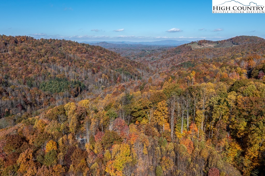 398 Phoenix Ridge Road Jefferson, NC 28640 - Photo 45 of 46 Gallery Image 45