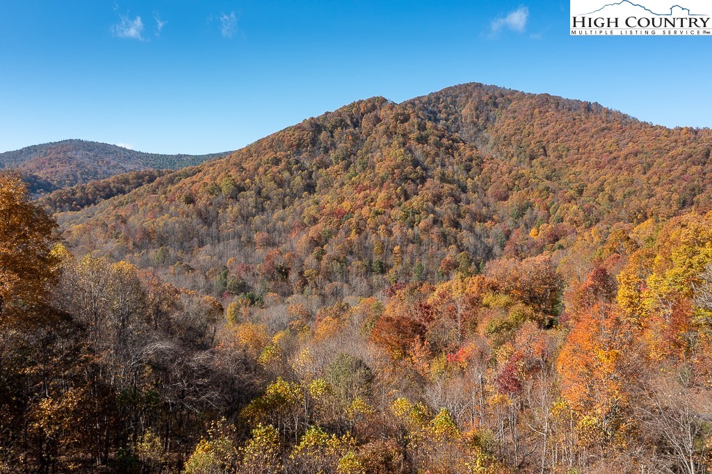 398 Phoenix Ridge Road Jefferson, NC 28640 - Photo 5 of 46 Gallery Image 5