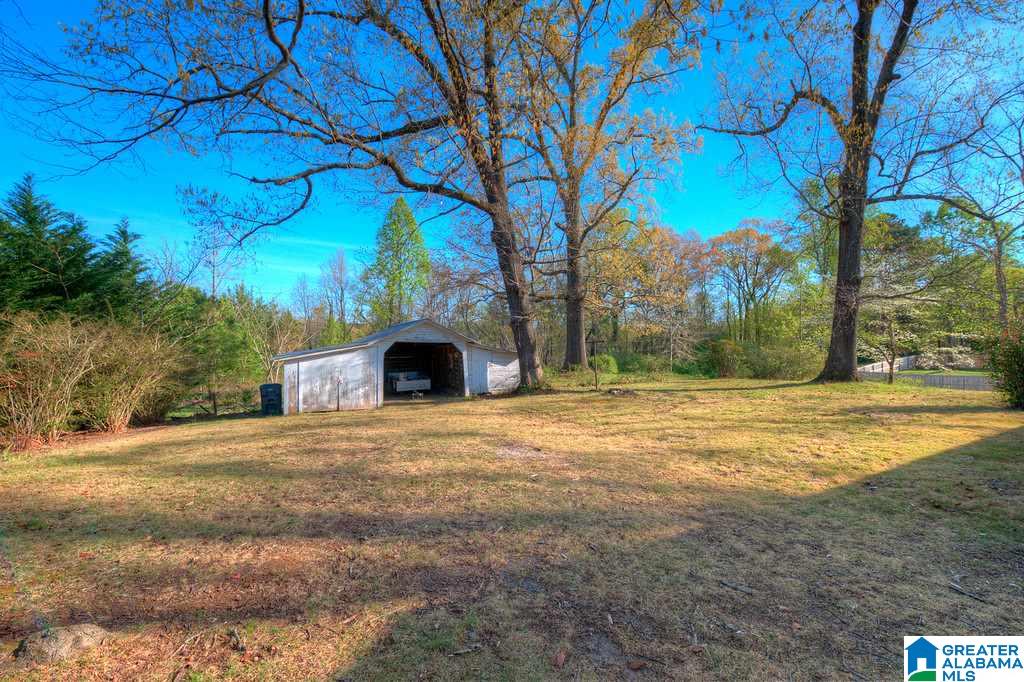 2423 Mount Olive Road Mount Olive, AL 35117 - Photo 18 of 19