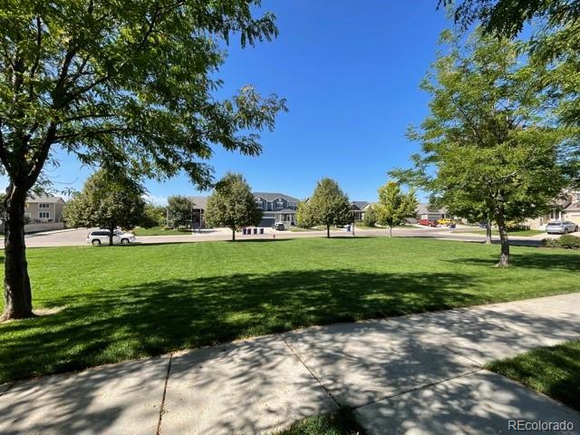 465 Territory Lane Johnstown, CO 80534 - Photo 21 of 24 a view of a park with large trees
