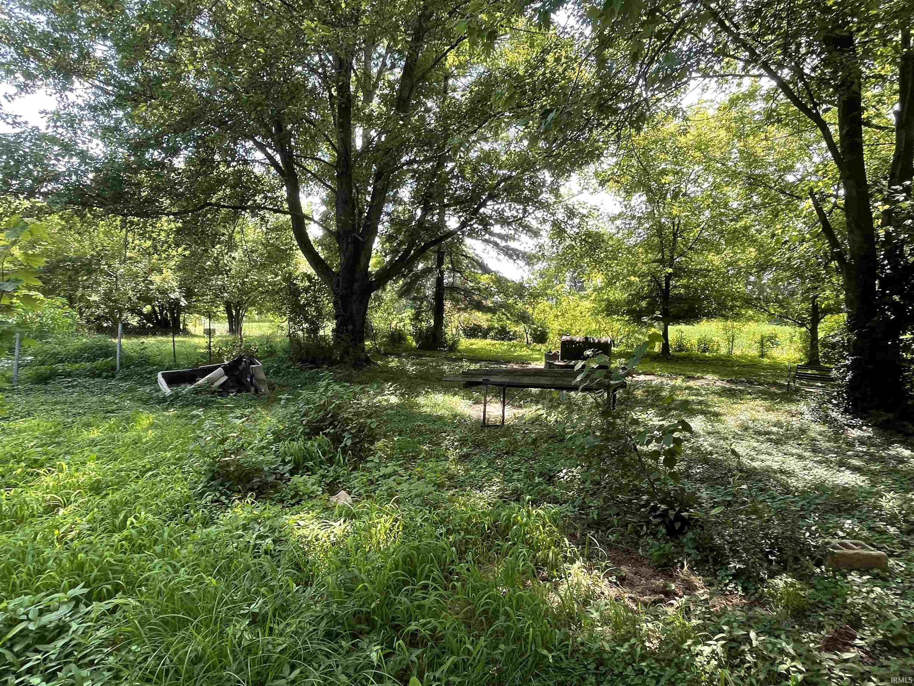 2812 Oliver Springfield Road Mount Vernon, IN 47620 - Photo 8 of 29 Gallery Image 8