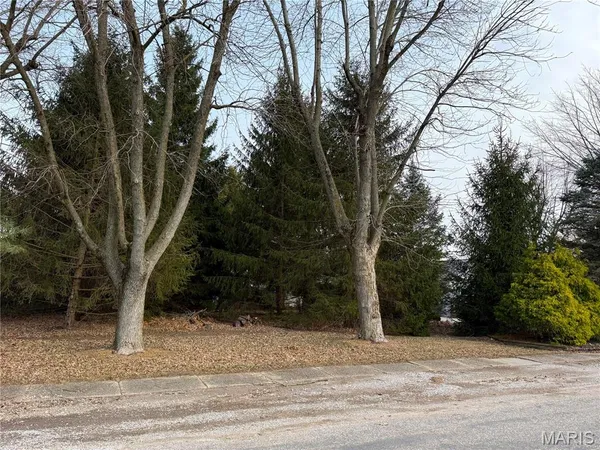 $115,000 | 611 Harrington Street, Carlinville, IL 62626