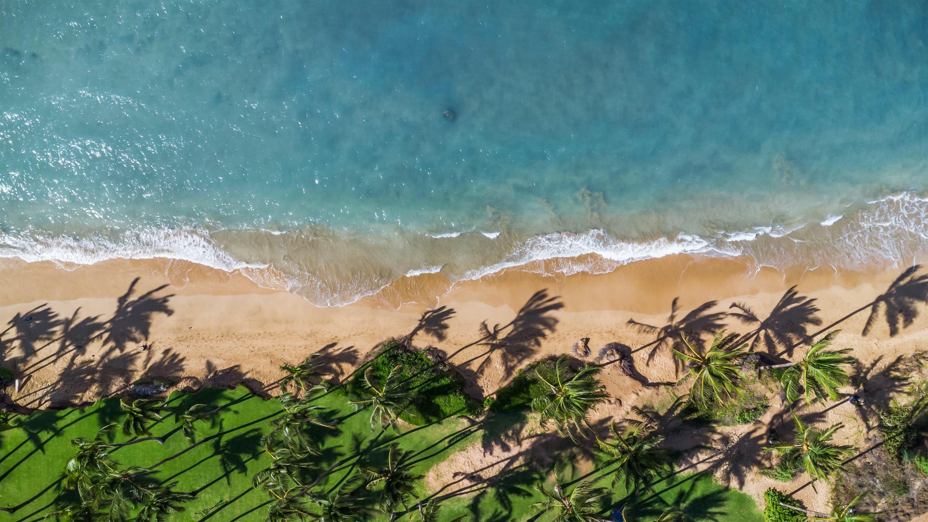 1470 Halama Street Kihei, HI 96753 - Photo 7 of 39