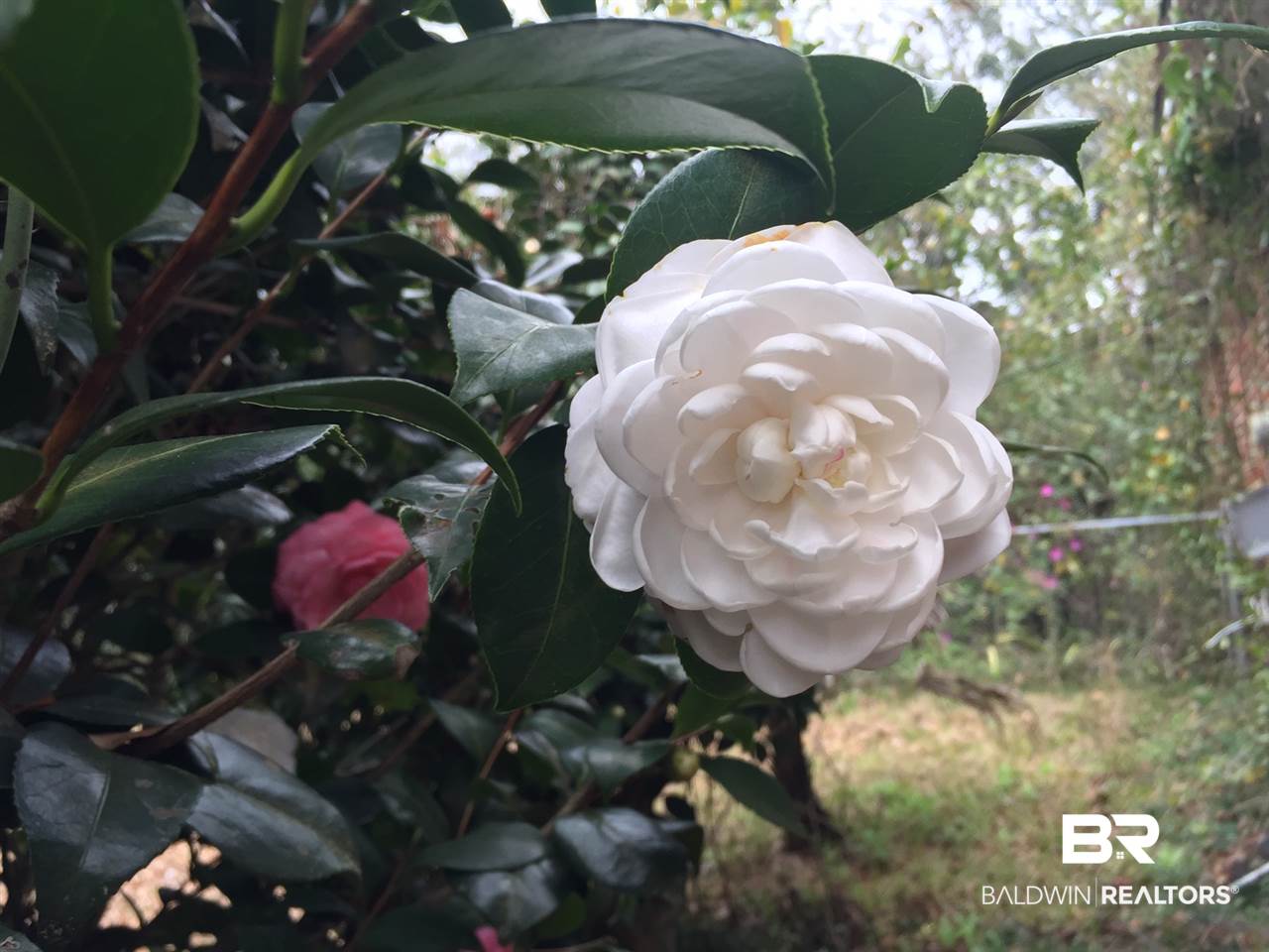 5780 Old Pascagoula Road Mobile, AL 36619 - Photo 13 of 15