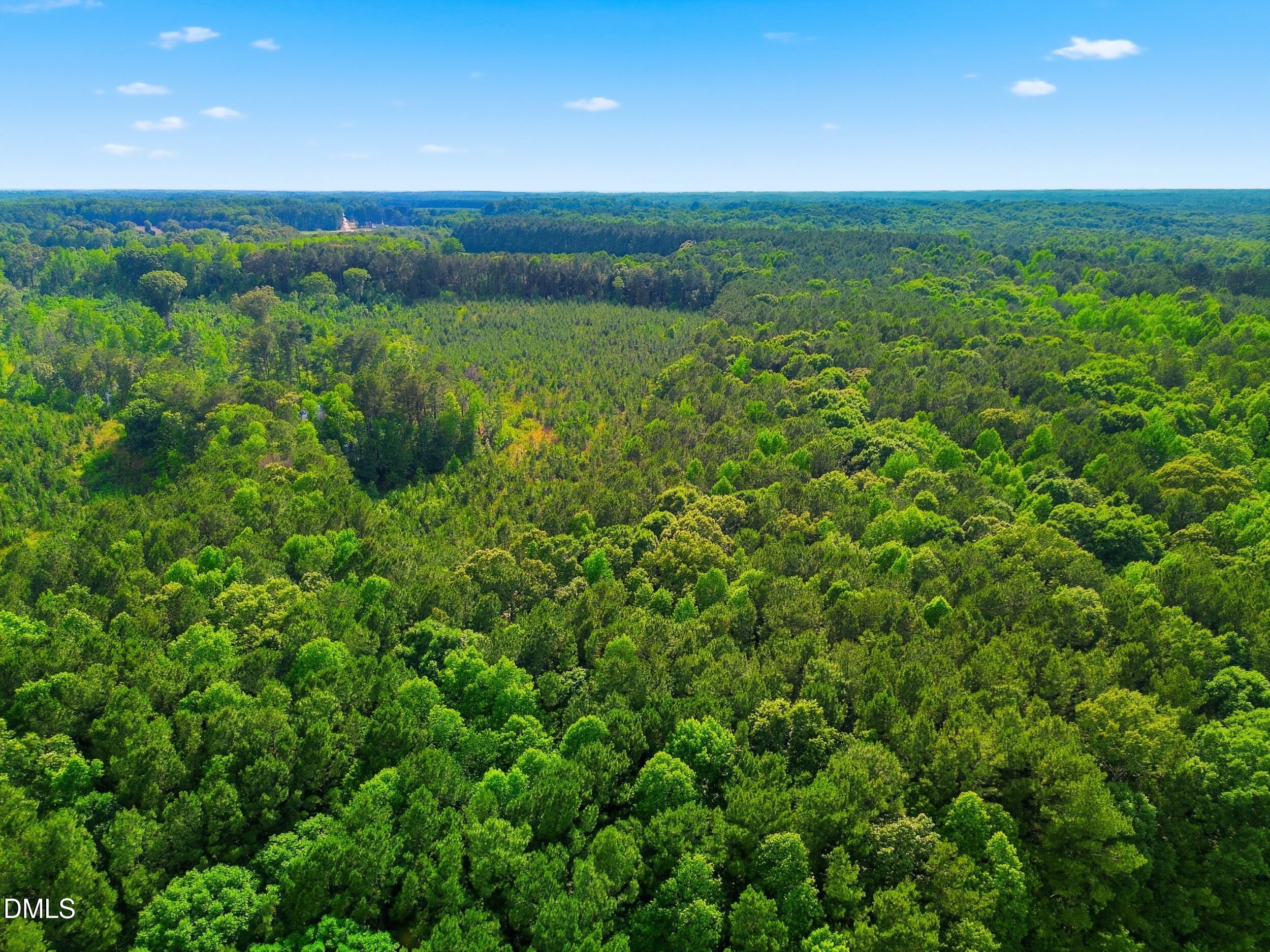 6.48-acres Flower Hill Road Middlesex, NC 27557 - Photo 3 of 9