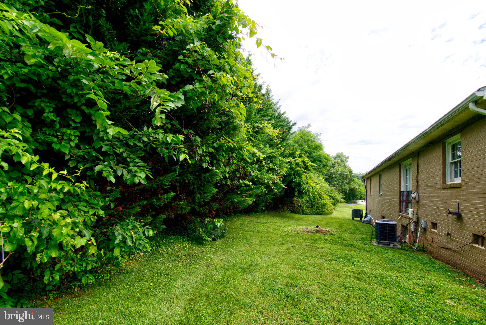 900 Walker Road Great Falls, VA 22066 - Photo 50 of 52 Lush greenery frames a cozy home.