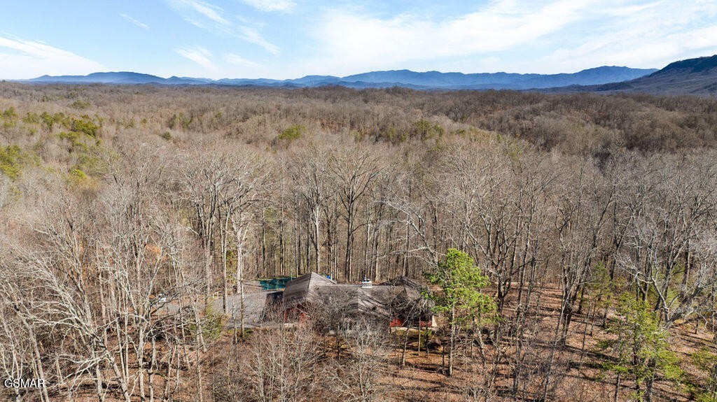 804 South Shiloh Road Seymour, TN 37865 - Photo 10 of 67 Gallery Image 10
