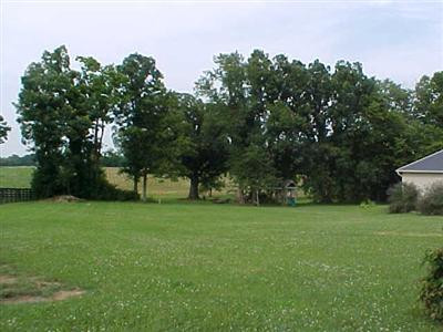 280 McNease Road Paris, KY 40361 - Photo 34 of 41 back field
