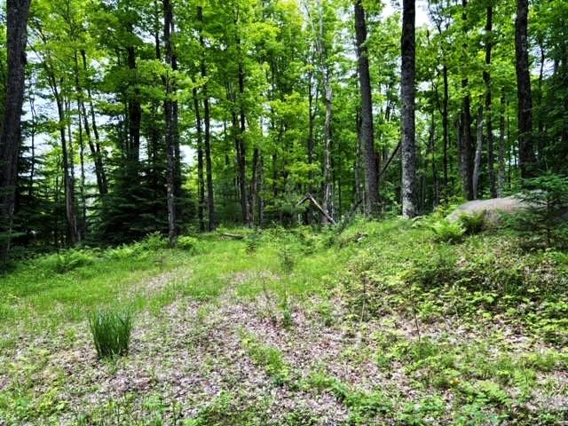 On On Pardee Lake Road Mercer, WI 54547 - Photo 7 of 13 Gallery Image 7