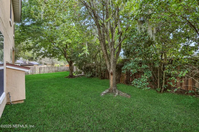 a view of a backyard with large trees