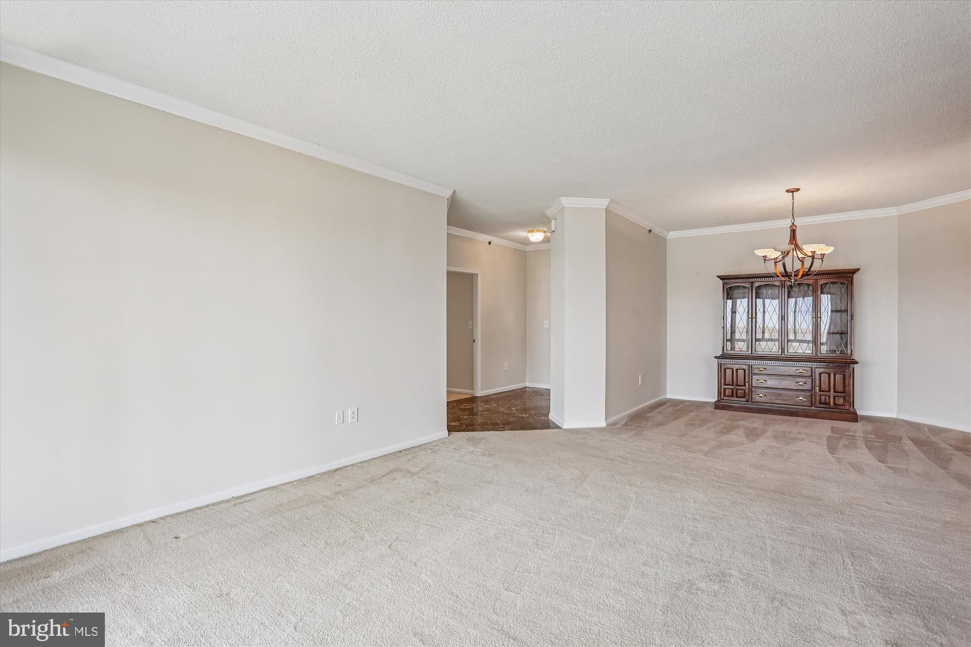3210 North Leisure World Boulevard, Unit 610 Silver Spring, MD 20906 - Photo 17 of 97 Living Room