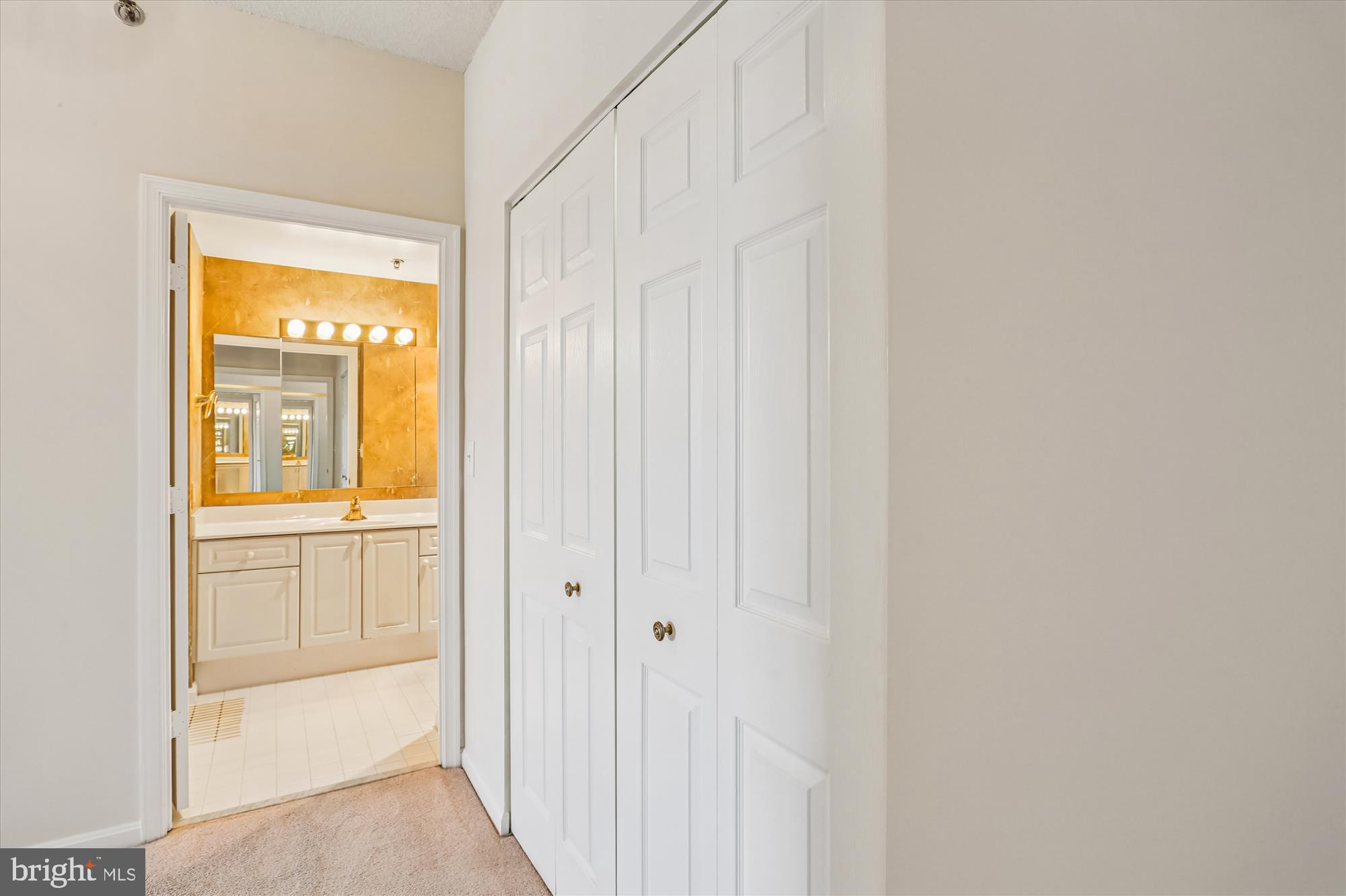 3210 North Leisure World Boulevard, Unit 610 Silver Spring, MD 20906 - Photo 28 of 97 a view of a bathroom from a hallway