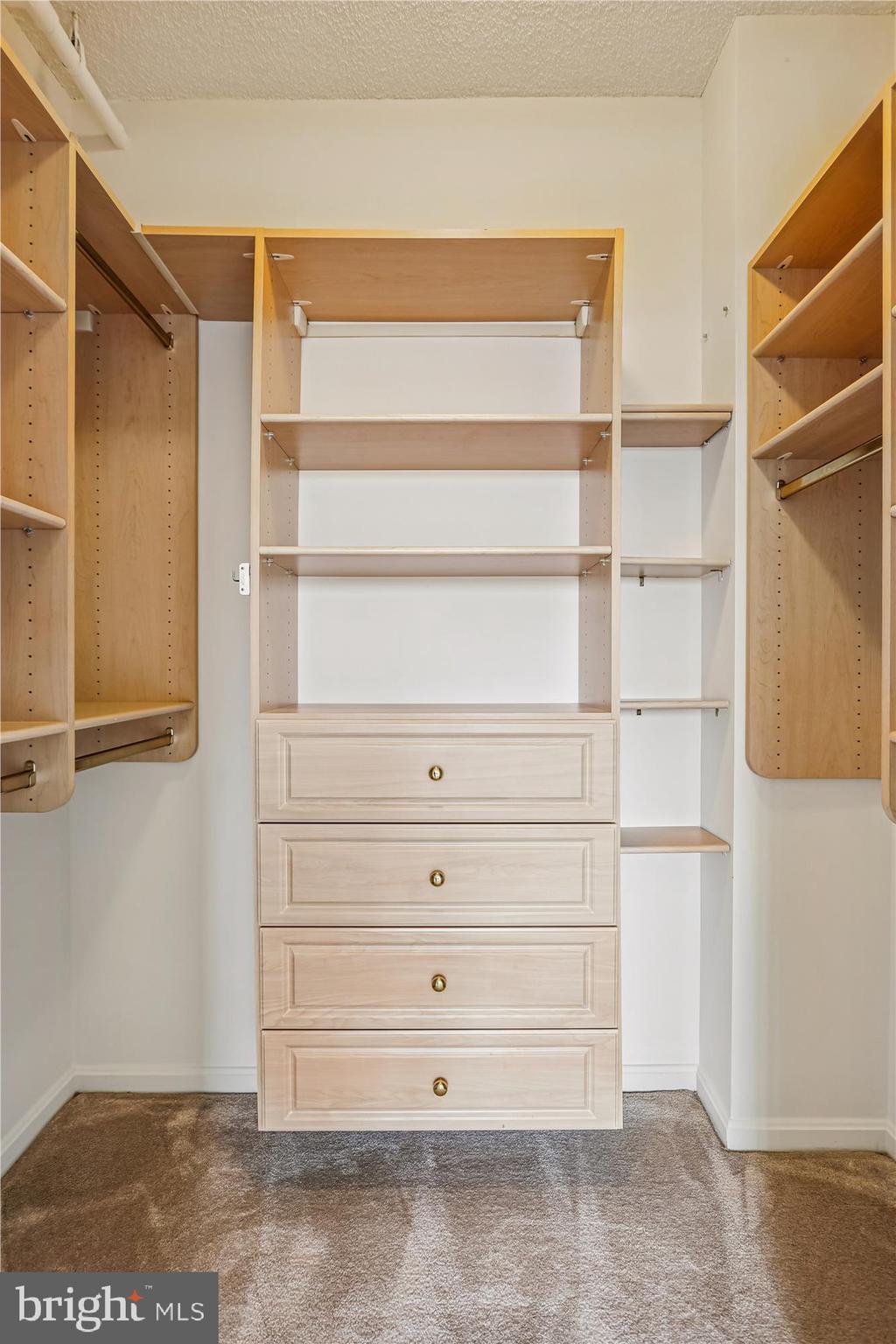 3210 North Leisure World Boulevard, Unit 610 Silver Spring, MD 20906 - Photo 46 of 97 2nd Bedroom Walk-In Closet