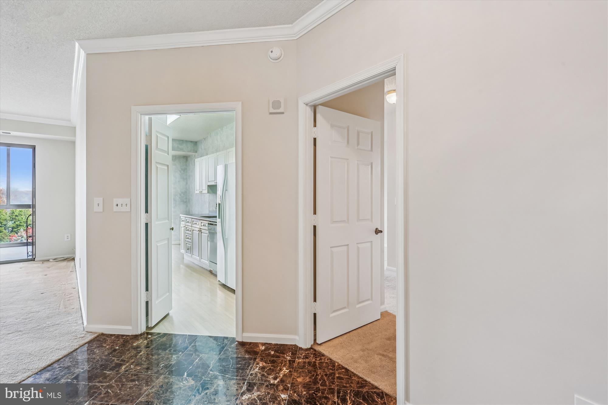 3210 North Leisure World Boulevard, Unit 610 Silver Spring, MD 20906 - Photo 5 of 97 Foyer
