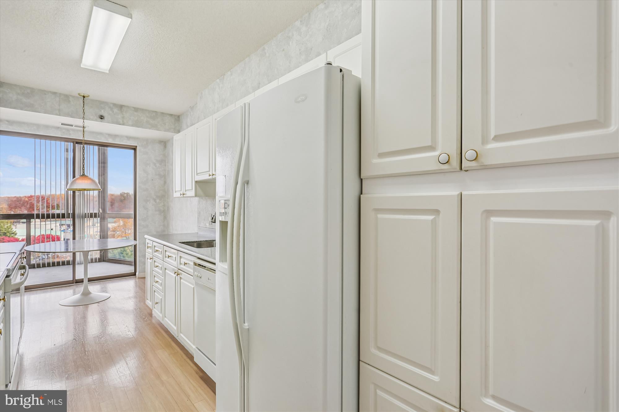 3210 North Leisure World Boulevard, Unit 610 Silver Spring, MD 20906 - Photo 8 of 97 Kitchen