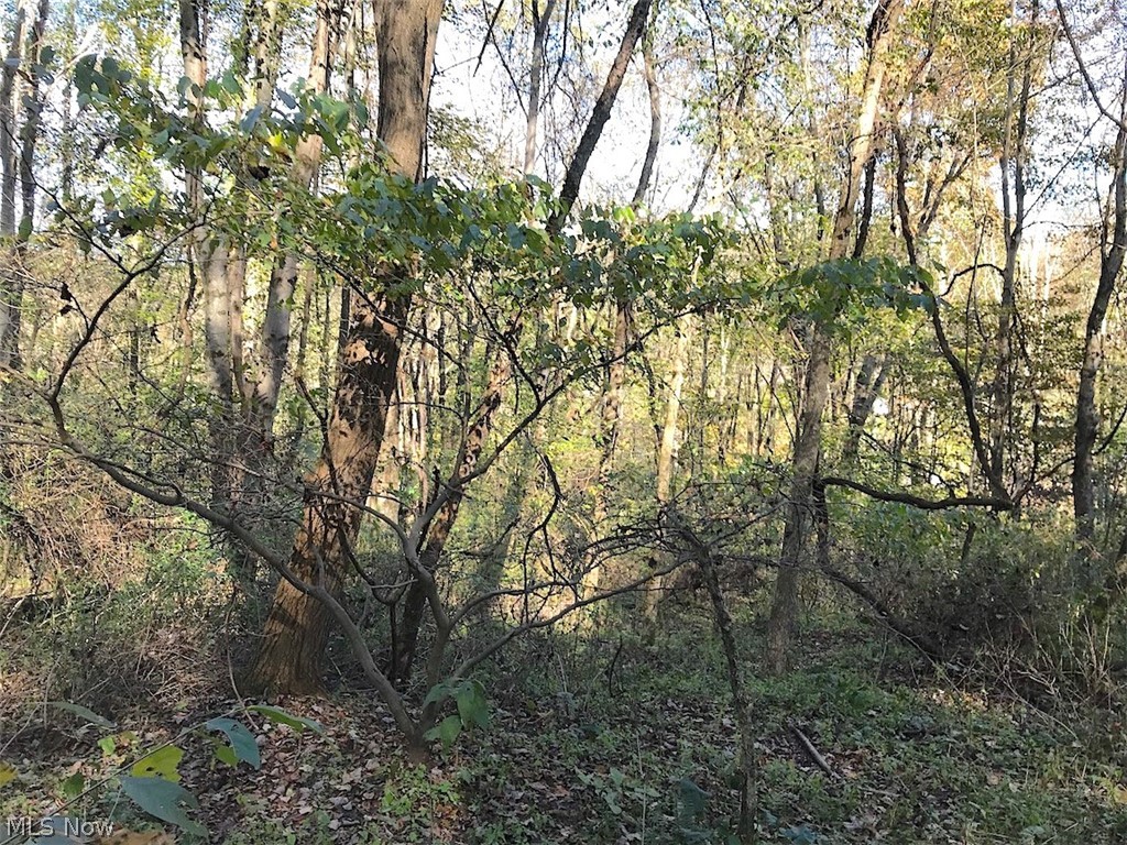 Timber Rock Road Lore City, OH 43755 - Photo 21 of 35