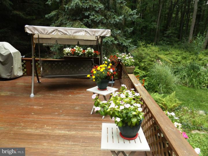 1046 Telegraph Road Coatesville, PA 19320 - Photo 17 of 23 Deck