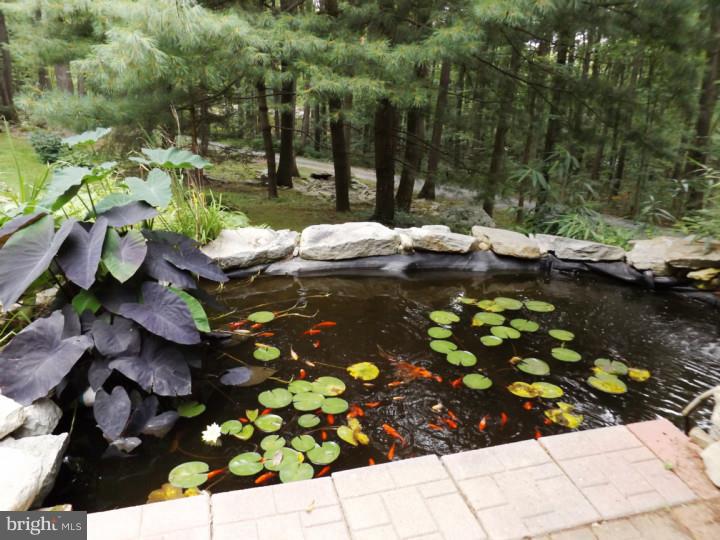 1046 Telegraph Road Coatesville, PA 19320 - Photo 20 of 23 Lake / Pond