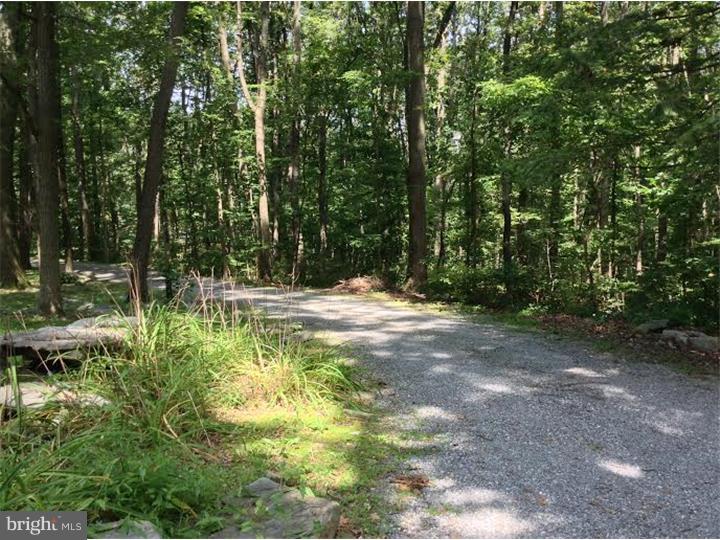 1046 Telegraph Road Coatesville, PA 19320 - Photo 23 of 23 Driveway