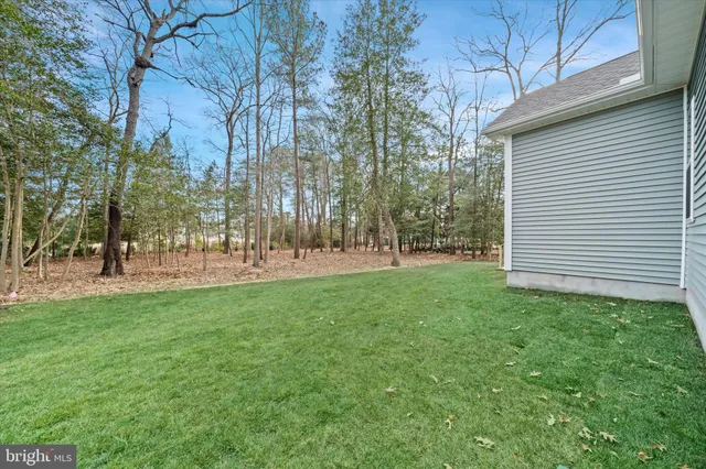 a view of park space