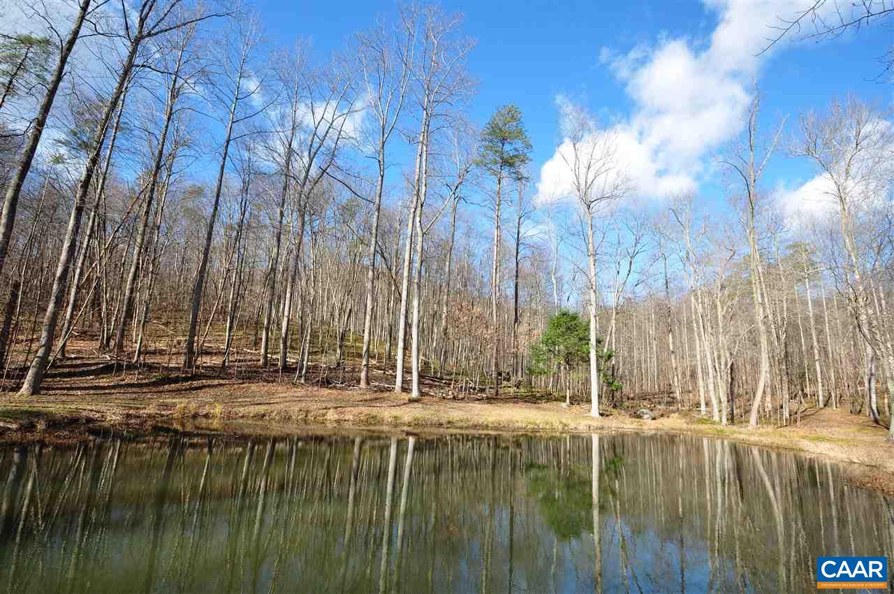 0 Etlan Road Etlan, VA 22719 - Photo 4 of 16 Gallery Image 4