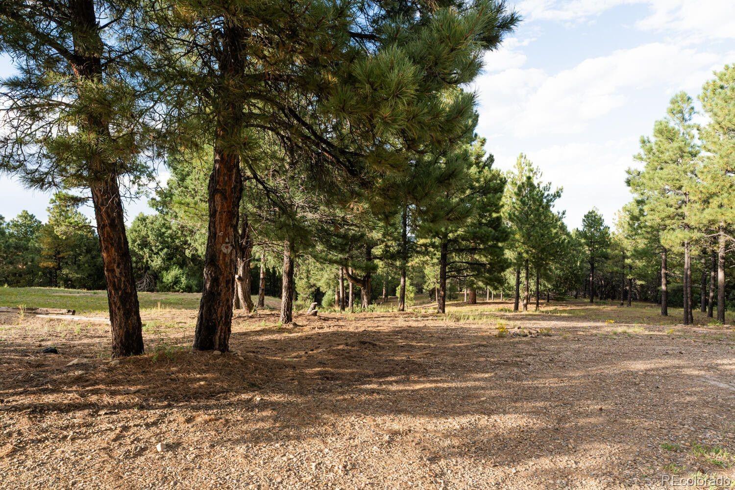 538 Rugby Mines Road Walsenburg, CO 81089 - Photo 49 of 50 a view of road and trees