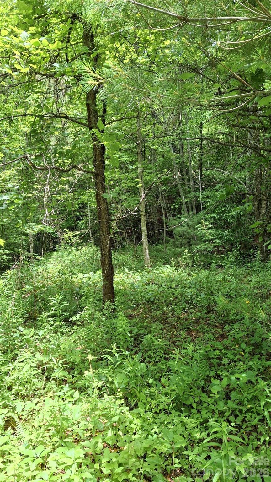 491 Signal Ridge, Unit 25 Sylva, NC 28779 - Photo 9 of 17