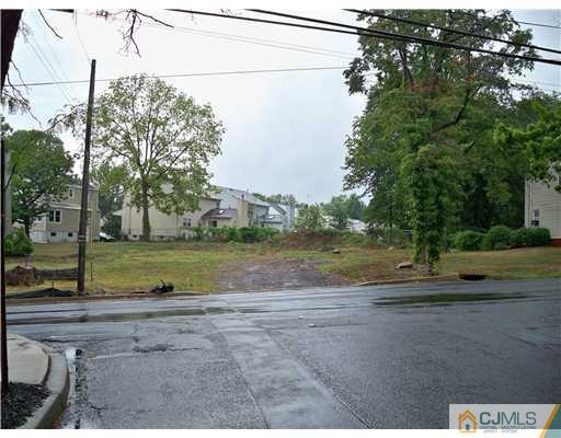 0 Magnolia Road Iselin, NJ 08830 - Photo 1 of 3 a view of a park that has a row of trees