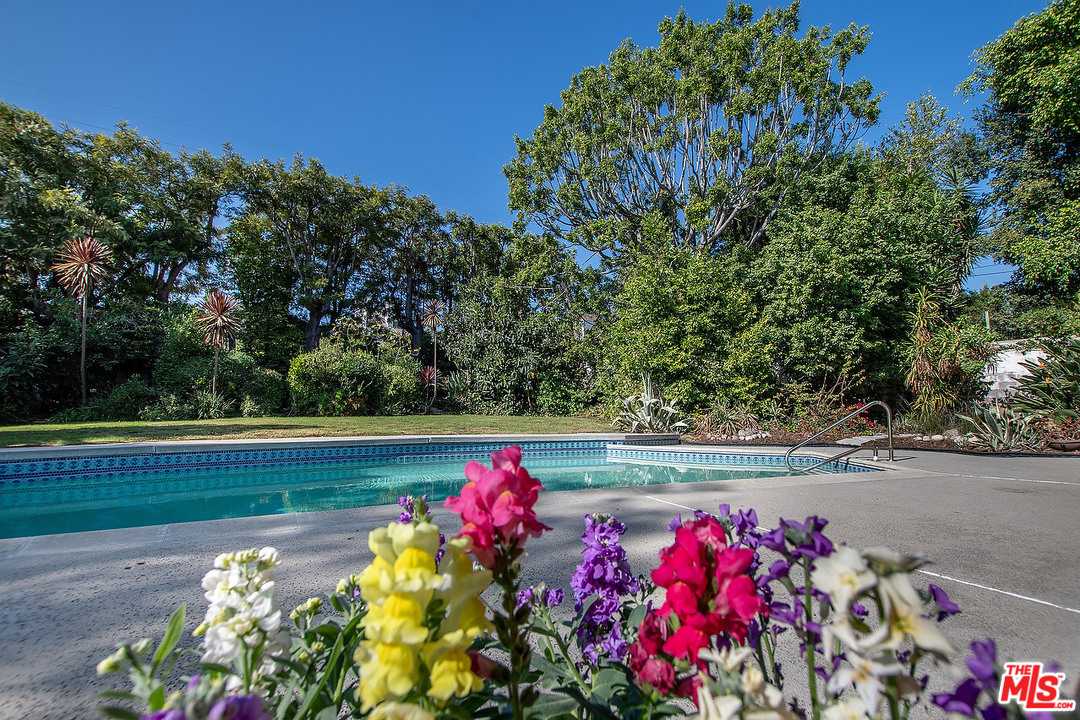 711 Sierra Drive Beverly Hills, CA 90210 - Photo 20 of 40 a view of a flower in a garden