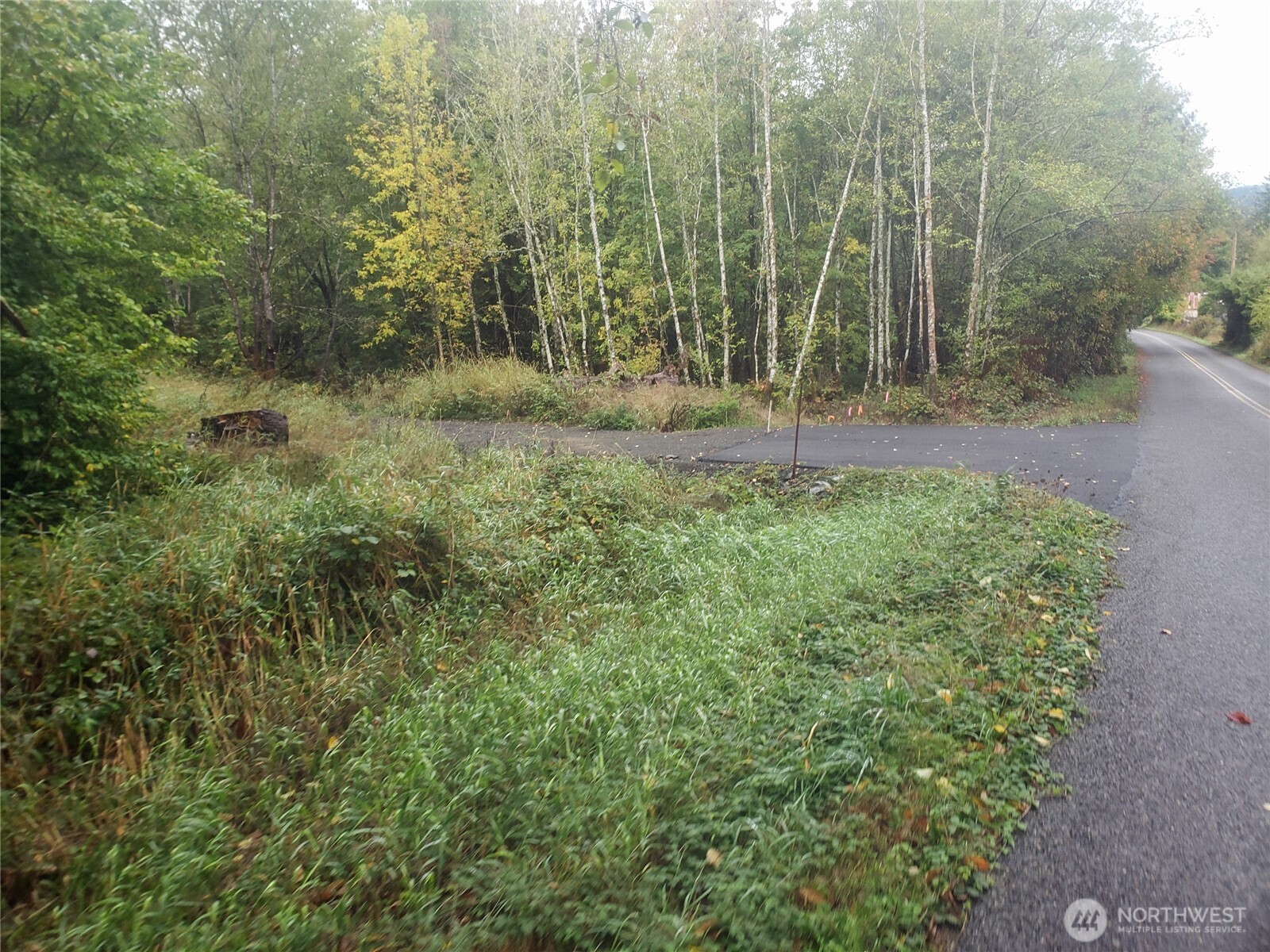 10943 Lundeen Road Southwest Rochester, WA 98579 - Photo 11 of 15